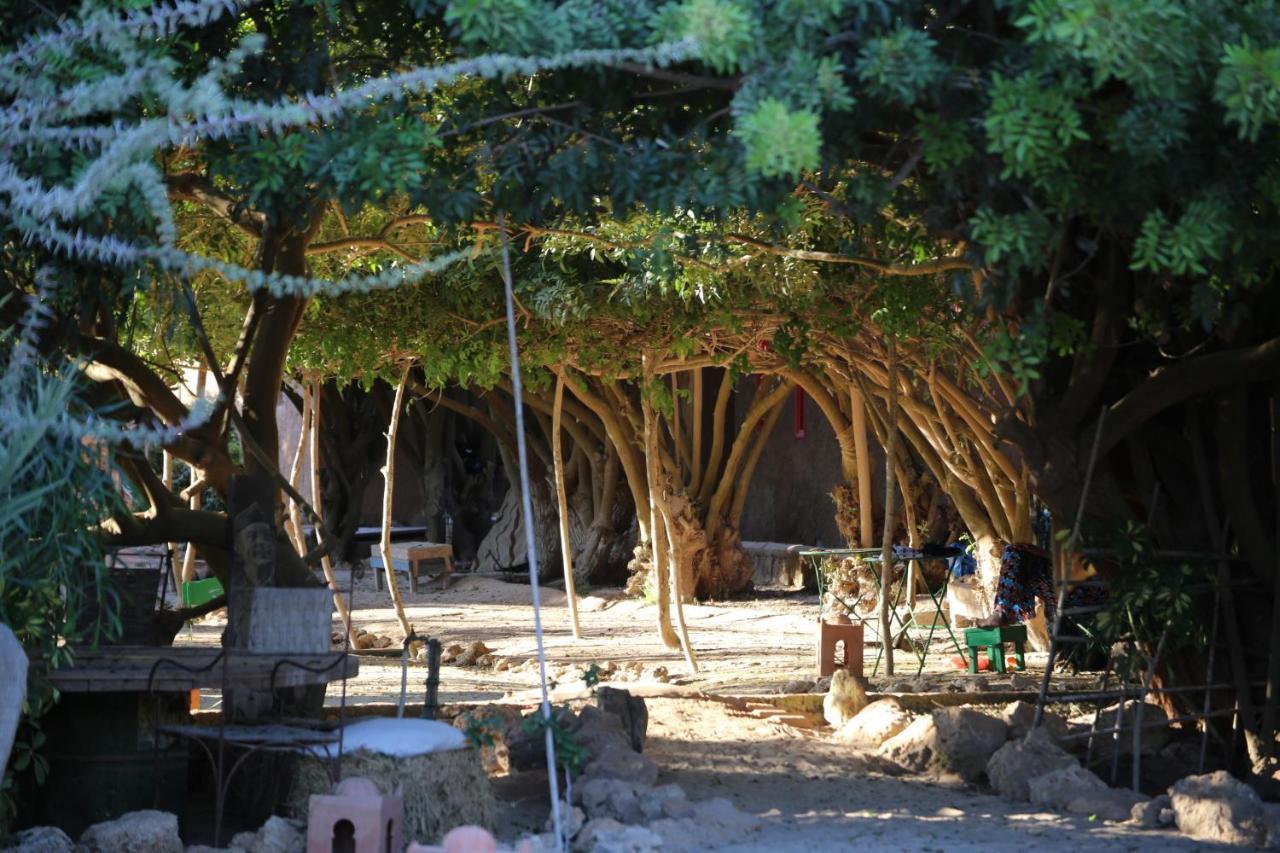 Dar Tawarta Guest House Dajla Exterior foto