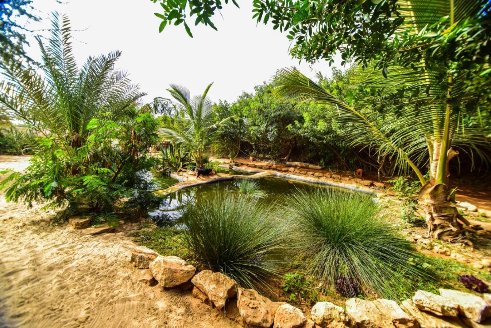 Dar Tawarta Guest House Dajla Exterior foto