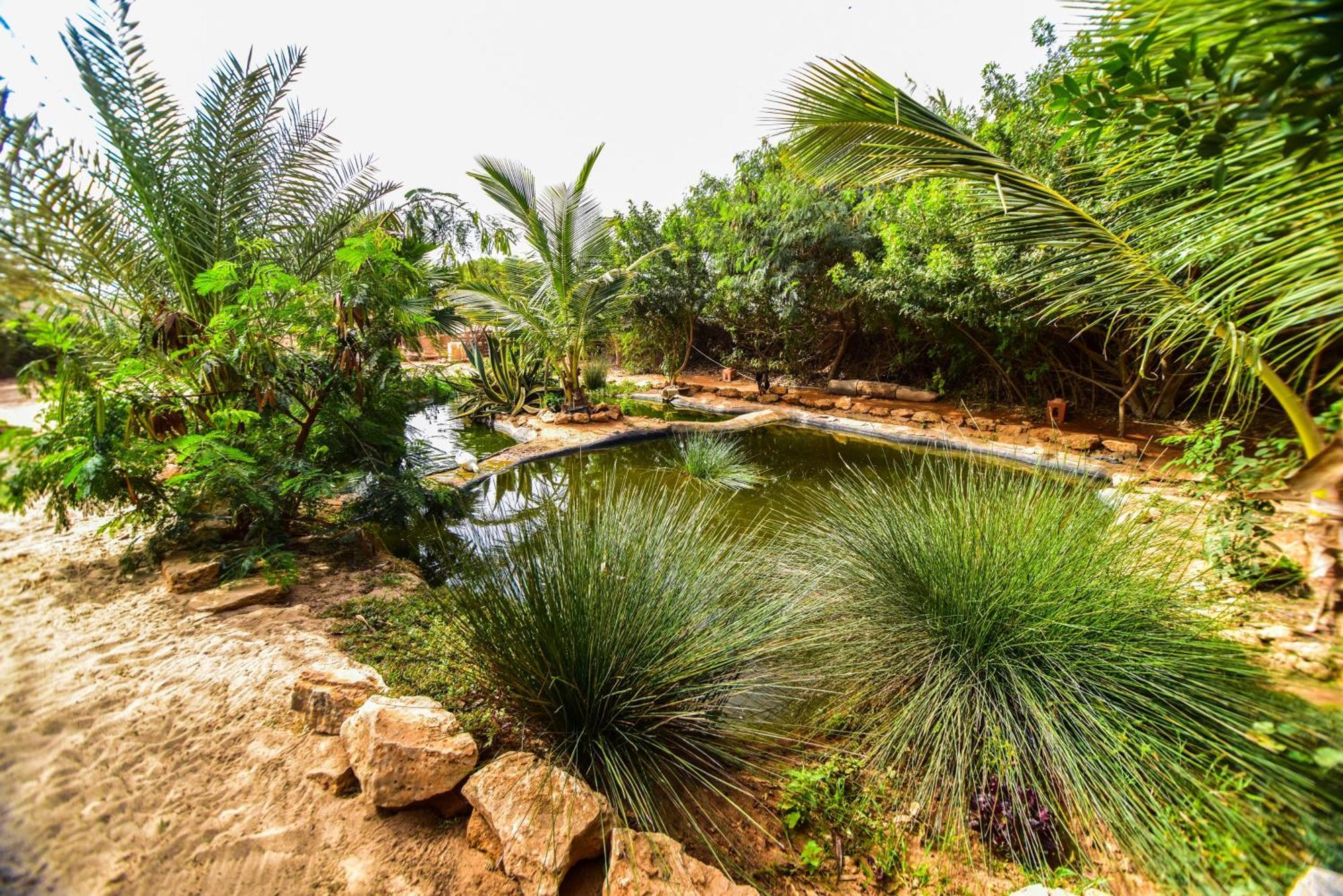 Dar Tawarta Guest House Dajla Exterior foto